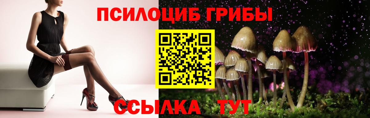 Псилоцибиновые грибы мухоморы  Вход с VPN  Нижнекамск  купить   Псилоцибиновые грибы MAGIC MUSHROOMS 
